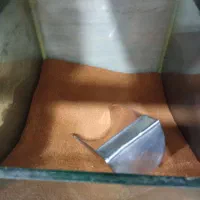 خاکشیر