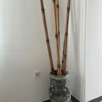گلدان سفالی بزرگ و بامبو