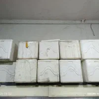 فیبر|ظروف نگهدارنده، پلاستیکی، یک‌بارمصرف|ایرانشهر, |دیوار