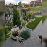 خدمات باغبانی باغچه سراسر تهران شبانه روزی|خدمات باغبانی و درختکاری|تهران, الهیه|دیوار