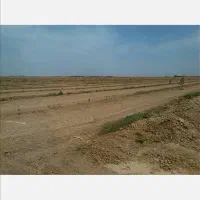 زمین بند قندی