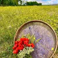 آموزش سازکوبه ای دف ودابره