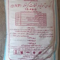 دی آمونیوم