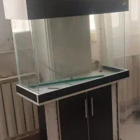 آکواریوم شیشه خم