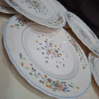 بشقاب ویکتوریا