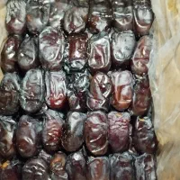 خرمایی مضافتی|حراج|ملک‌آباد, |دیوار