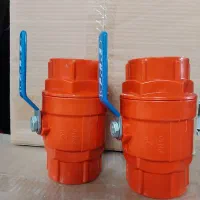 منشی خانم