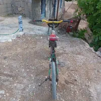 دوچرخه 20|دوچرخه، اسکیت، اسکوتر|سیسخت, |دیوار