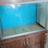 آکواریوم فروشی قیمت مقطوع
