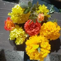 گم کردم