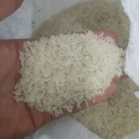 برنج فجر