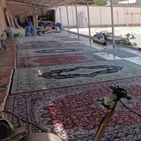 همکاری با دفاتر قالیشویی