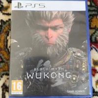 دیسک بازی Black Myth Wukong