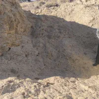 کاه گندم|خدمات باغبانی و درختکاری|ننور, |دیوار