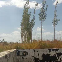 باغ ۴۰۰۰ متری آب لوله کشی مجوز رسمی سرمایه گذاری