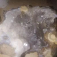 فروش  سنگ  و کوزه دکوری