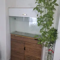 آکواریوم ۱متری شیشه خم