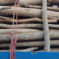 چوب خانه باپرواز