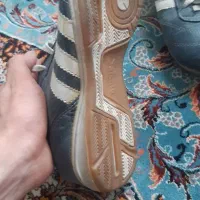 کفش سالنی|کیف، کفش، کمربند|قرچک, زیبا شهر|دیوار