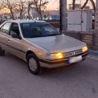 پژو 405 GLX - دوگانه سوز CNG، مدل ۱۳۸۴