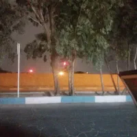 خرید وفروش انواع چوب