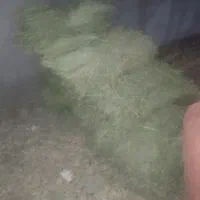 آخور و یونجه|عمدهفروشی|سبزوار, قصبه شرقی|دیوار