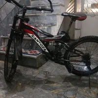 ۲تا دوچرخه سایز20و24