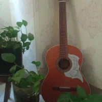گیتار با کیف