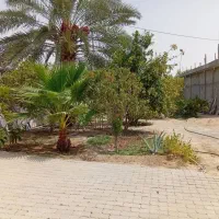 باغ شهری دارای ساختمان ودرخت ثمری