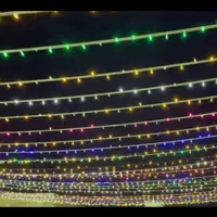 ریسه زنی خلیج نور|خدمات پذیرایی، مراسم|بندرعباس, |دیوار