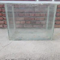 آکواریوم بدون نشتی و ایراد . مجسمه تازه . گل سبز .
