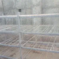 سه عدد قفسه پرورش قارچ قیمت ۱۸۸۰۰۰۰۰|ابزارآلات|سنقر, |دیوار