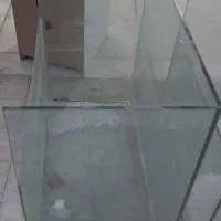 اکواریوم