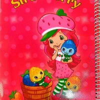 تبدیل دفتر مشق تعاونی به سیمی به قیمت پایین