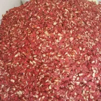 گوجه خشک دوقارچ خورشیدی|خوردنی و آشامیدنی|بکتاش, |دیوار
