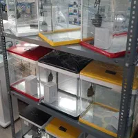 آکواریوم K250 دلسا|ماهی|شیراز, خلدبرین|دیوار