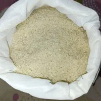 برنج ایرانی (گرگان)|خوردنی و آشامیدنی|فردیس, سرحد آباد|دیوار