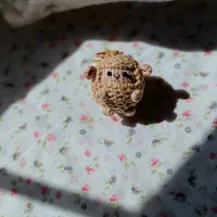 جاسوئیچی‌ بافتنی گوسفند