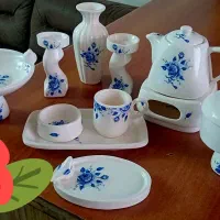 ظروف دستی منزل