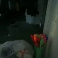 کلی اسباب بازی هم تکی هم کلی و هم چند تا چندتا