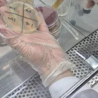 کارشناس میکروبیولوژی