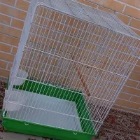 قفس پرنده
