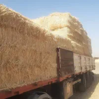 پرس کاه گندم بزرگ|حیوانات مزرعه|ورزنه, |دیوار