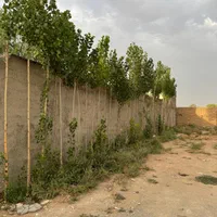فروش زمین ۲۵۰ متری کردان سهیلیه زعفرانیه اقبالیه|فروش زمین و ملک کلنگی|کرج, فاز ۲ مهرشهر|دیوار