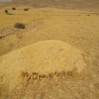 ۳ انبار کاه