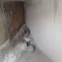 پرنده کوهی|پرنده|ری, شهید بهشتی|دیوار