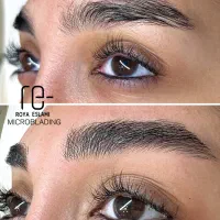 میکروبلیدینگ ابرو|خدمات آرایشگری و زیبایی|تهران, الهیه|دیوار