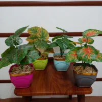 گل مصنوعی، گلدان، تزیینی، گیاه باکسی|گل مصنوعی|تهران, اسفندیاری|دیوار