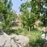 طور تفریحی.تور تفریحی. رایگان