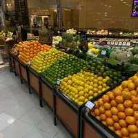 استند میوه|فروشگاه و مغازه|تهران, آرارات|دیوار